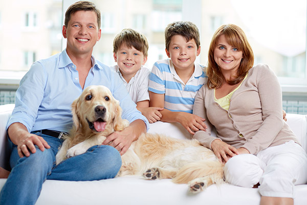 Proper Techniques For Oral Hygiene From A Family Dentist